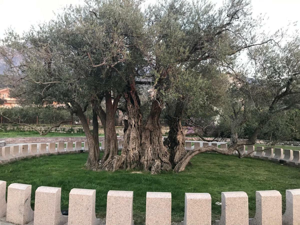 באר Villa Grand מראה חיצוני תמונה